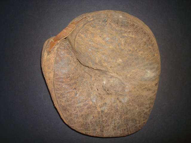 c. 1890's Catcher's Mitten Front